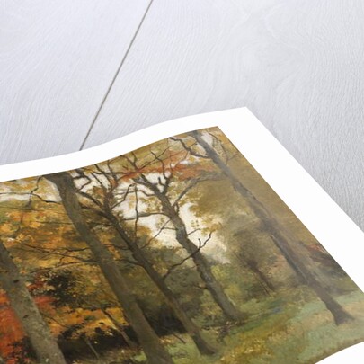 Autumn Leaves by Cyrus Johnson