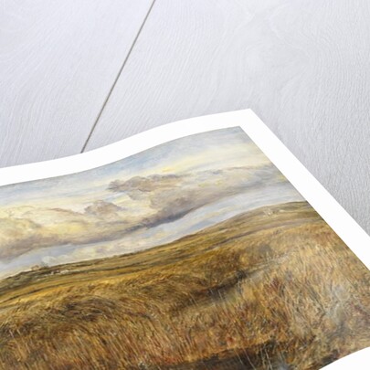 Rhoscolyn, Anglesey by William Joseph J.C. Bond