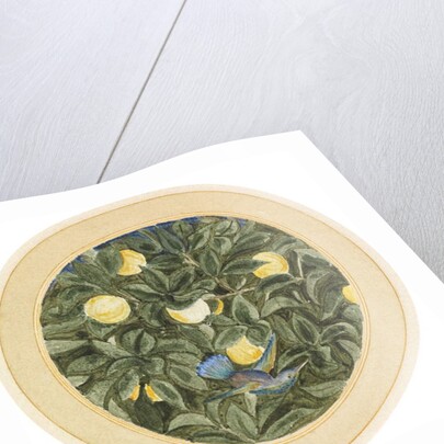 The Hummingbird by James Smetham