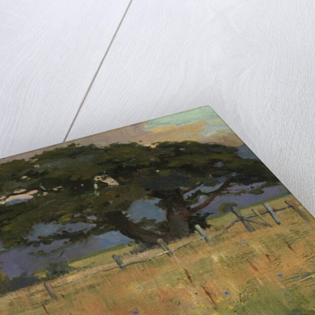 A Meadow beneath Mountains, 1897 by Edward Reginald Frampton