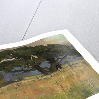 A Meadow beneath Mountains, 1897 by Edward Reginald Frampton