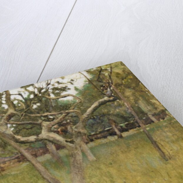 An Orchard, 1881 by George Clausen