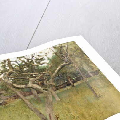 An Orchard, 1881 by George Clausen