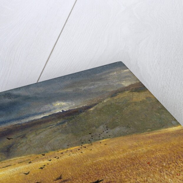 Wheatfield by John Samuel Raven