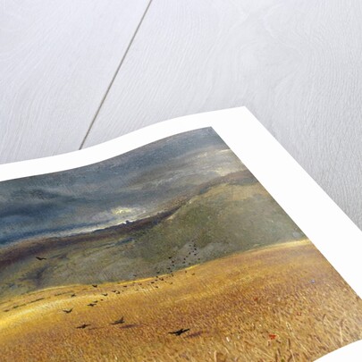 Wheatfield by John Samuel Raven