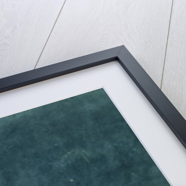 Donati's Comet over Balliol College by William of Oxford