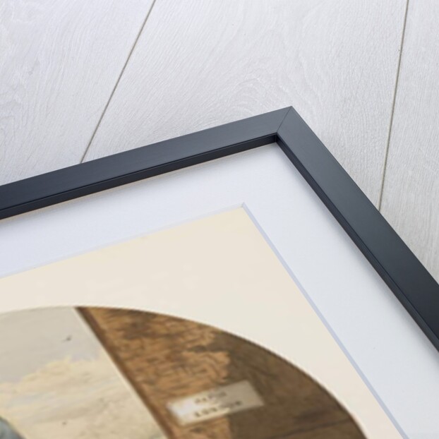 Racing Pigeons, Paris to London, 1880 by Henry Stephen Ludlow