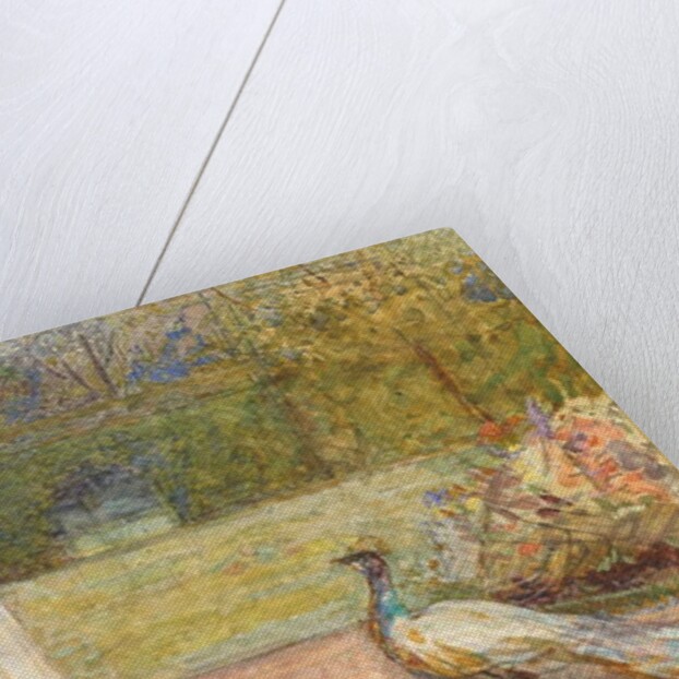 Lady and a Peacock by George John Pinwell