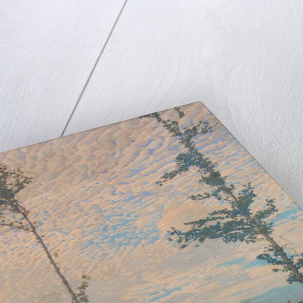 The Wooden Plough by Edward Louis Lawrenson