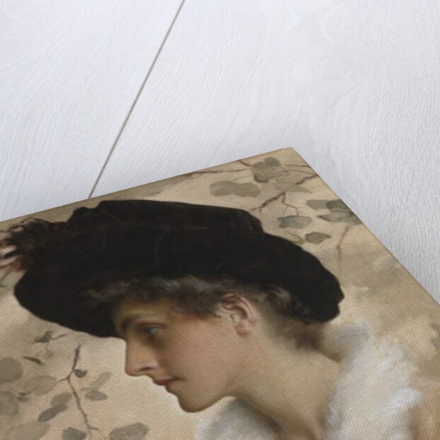 Portrait of a Lady, 1888 by George Henry Boughton