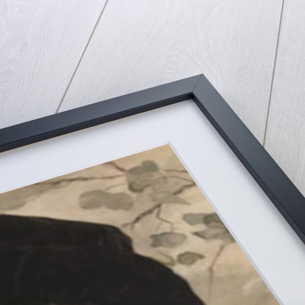 Portrait of a Lady, 1888 by George Henry Boughton