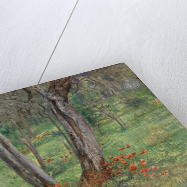 A Woodland Hideout by Giovanni Costa