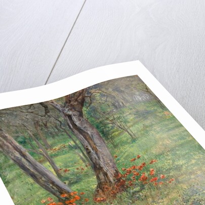 A Woodland Hideout by Giovanni Costa