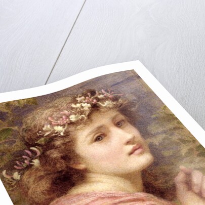 With blossoms bare bedecked daintily;/Whose tender locks do tremble everie one/At everie little breath that under heaven is blowne, 1894 by Constance Phillott