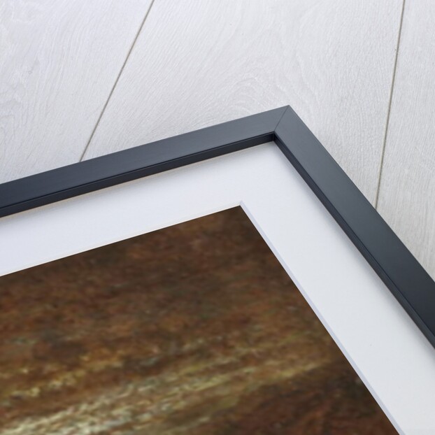 Lahneck on the Rhine by George F. Teniswood