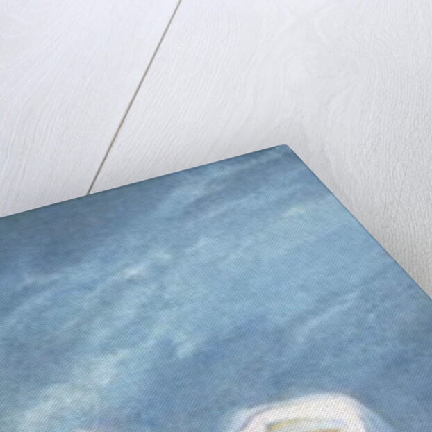 Fen Fairy by Charles Prosper Sainton