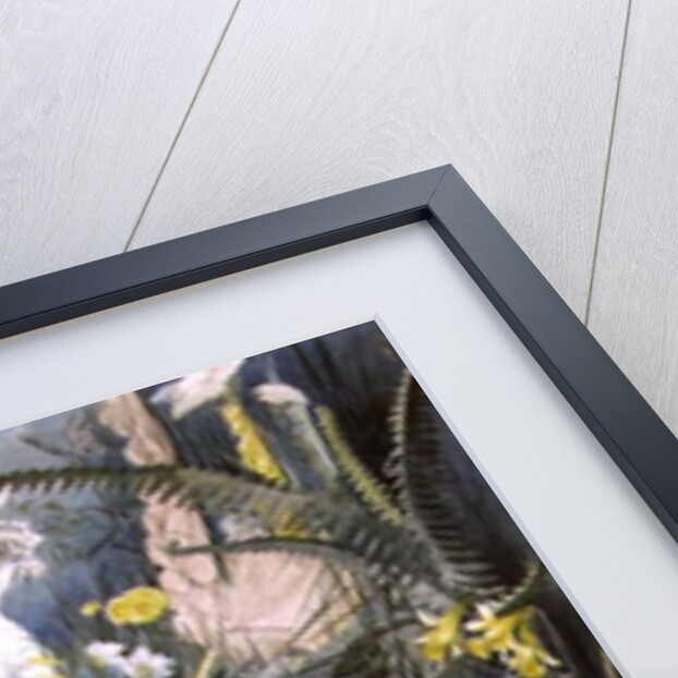 A Fairy Gathering by George Cruikshank