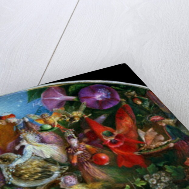 The Fledgling by John Anster Fitzgerald