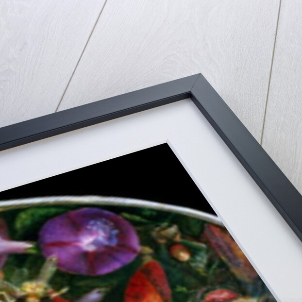 The Fledgling by John Anster Fitzgerald