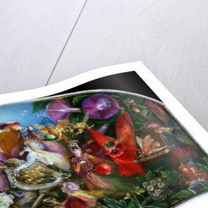 The Fledgling by John Anster Fitzgerald