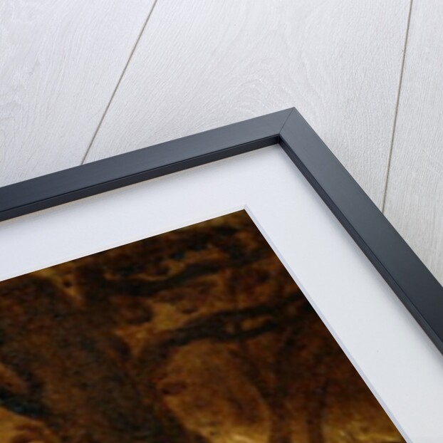 Study for The Quarrel of Oberon and Titania, c.1849 by Joseph Noel Paton