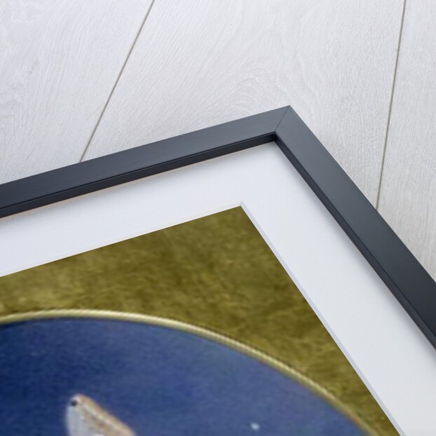 The Honey-Bags Steal from the Humble Bees/And from the Night Tapers their Waxen Thighs,/And Light them at the Fairy Glow-Worm's Eyes by John Simmons