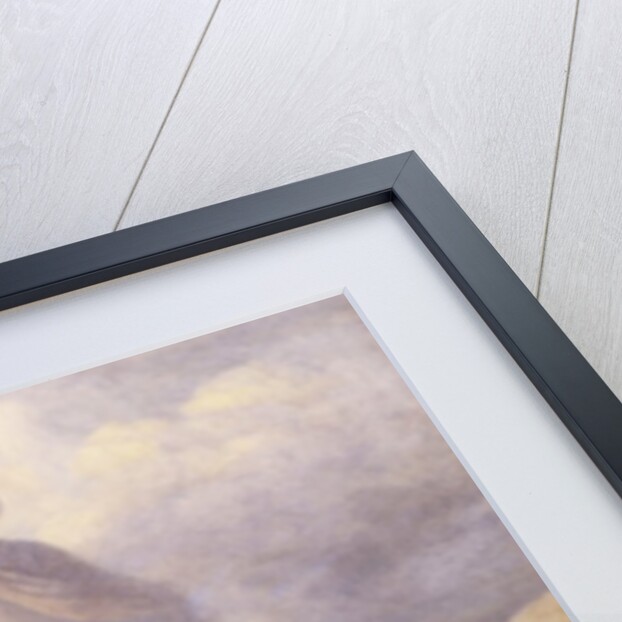 The God Thor Chasing the Dwarfs, 1878 by Richard Doyle