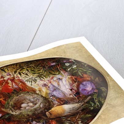 The Death of Cock Robin by John Anster Fitzgerald