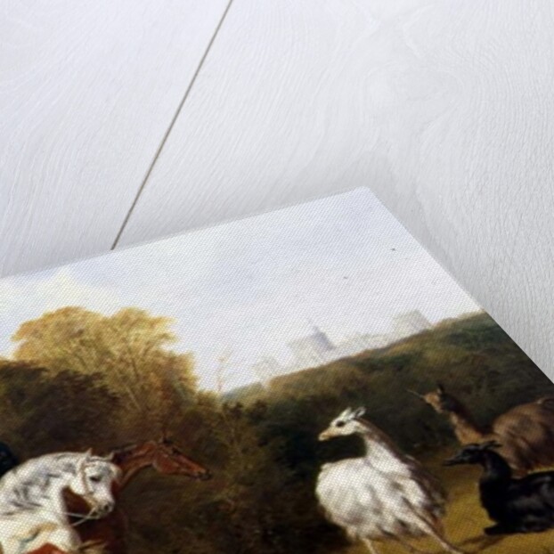 Queen Victoria and Prince Albert Viewing the Llamas in the House Park, Windsor, c.1845 by Gourlay Steel