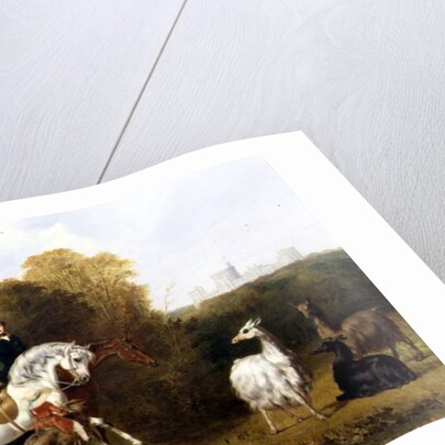 Queen Victoria and Prince Albert Viewing the Llamas in the House Park, Windsor, c.1845 by Gourlay Steel