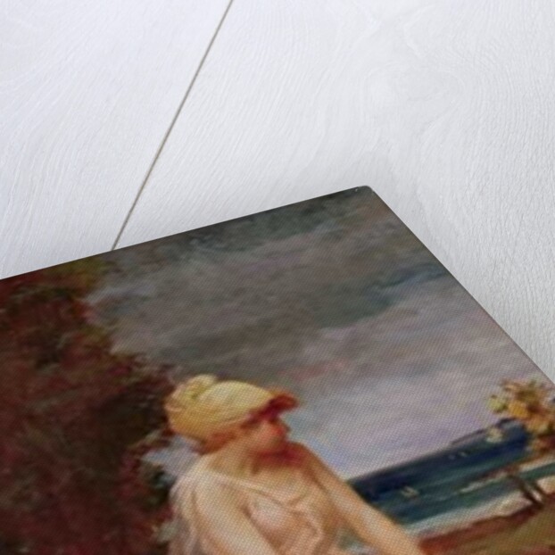 Butterflies, c.1895 by Robert Fowler