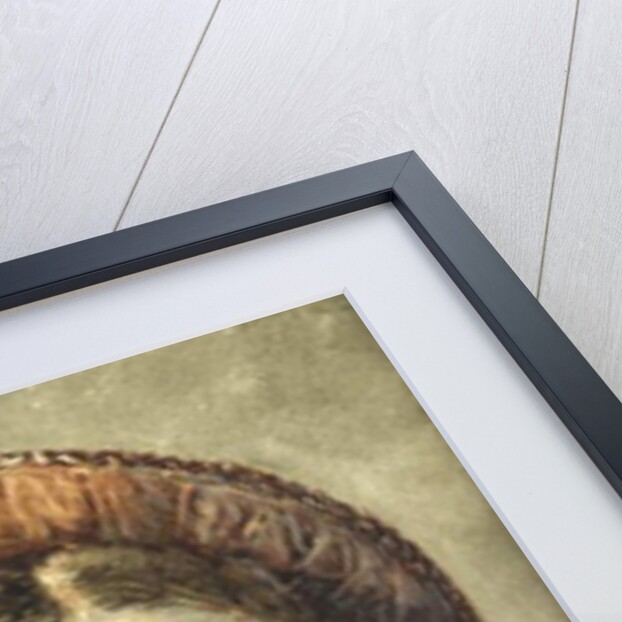 Lady in a feathered hat by William Henry Hunt