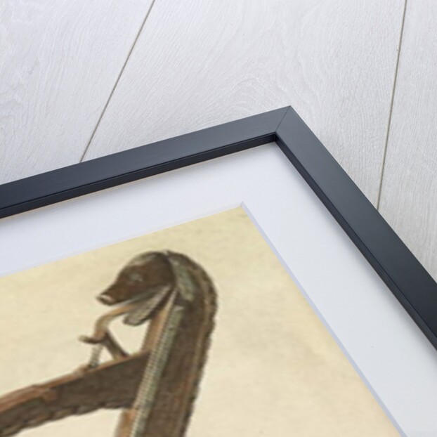 Irish harp, 1889 by Edward Coley Burne-Jones