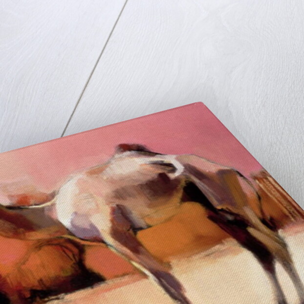 dsu and Said, Rann of Kutch, 1996 by Mark Adlington