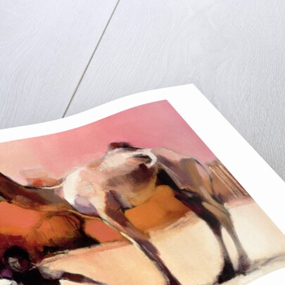 dsu and Said, Rann of Kutch, 1996 by Mark Adlington