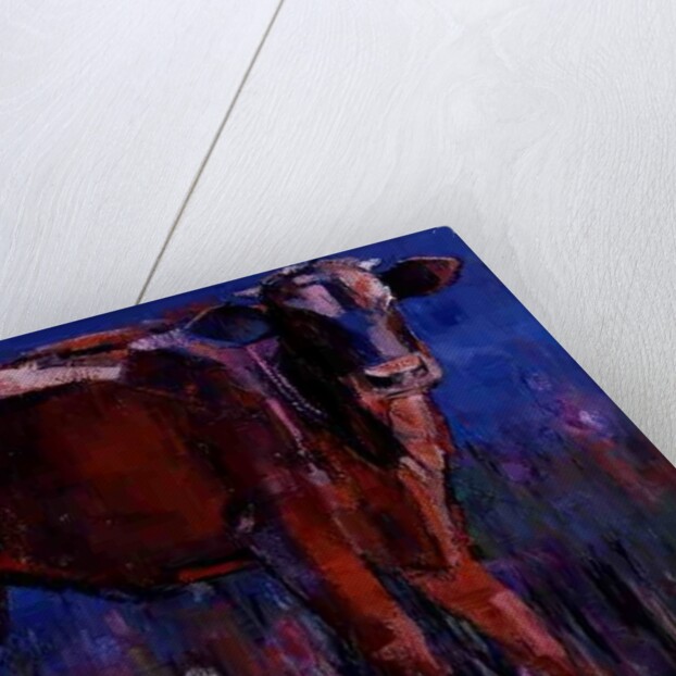 Red Calf, Cazalla de la Sierra, 1999 by Mark Adlington