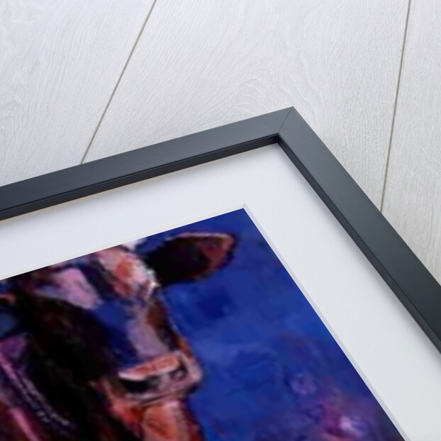 Red Calf, Cazalla de la Sierra, 1999 by Mark Adlington