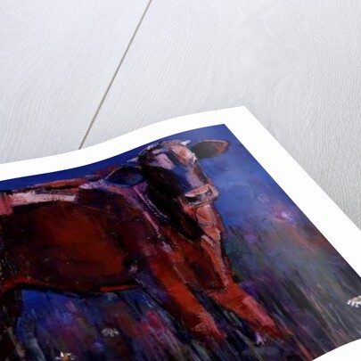 Red Calf, Cazalla de la Sierra, 1999 by Mark Adlington