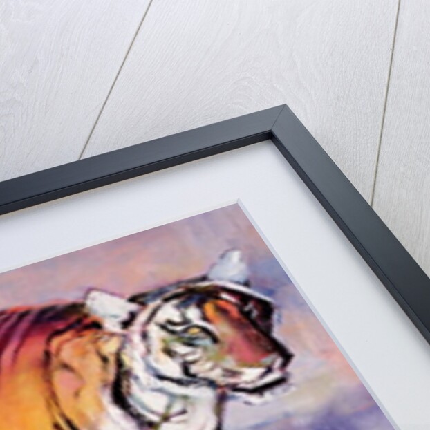 Tigress, Khana, India, 1999 by Mark Adlington