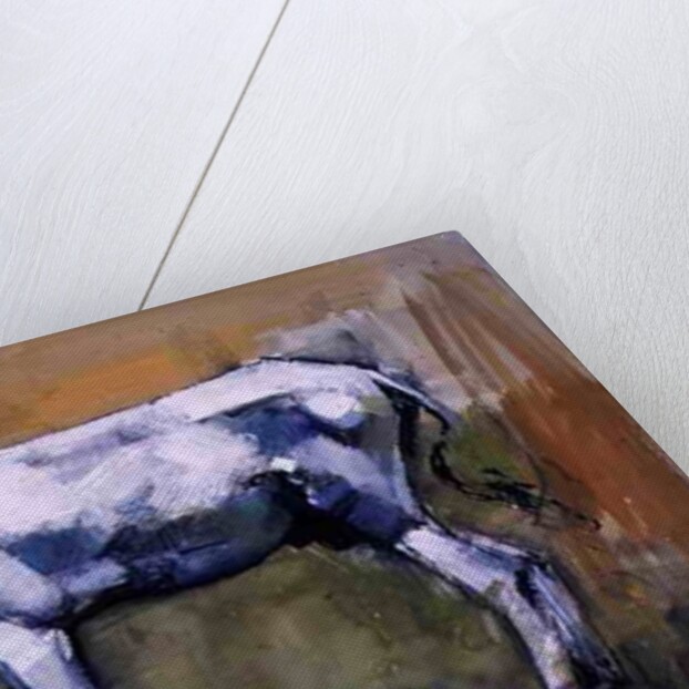 Donkey Stallion, Ronda, 1998 by Mark Adlington