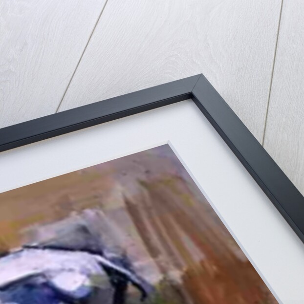 Donkey Stallion, Ronda, 1998 by Mark Adlington