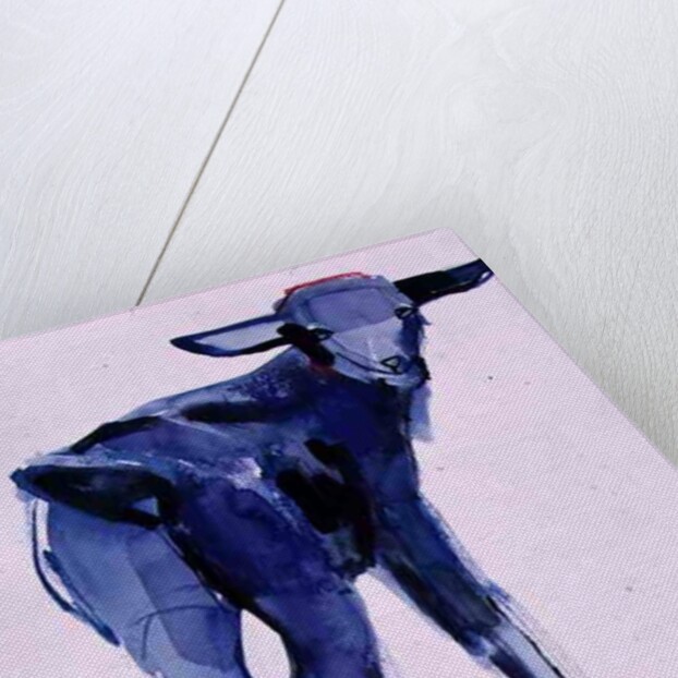 Blue Kid, Cazalla de la Sierra, 1999 by Mark Adlington