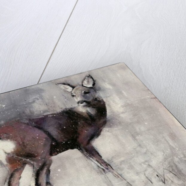 Roe Doe, 2000 by Mark Adlington