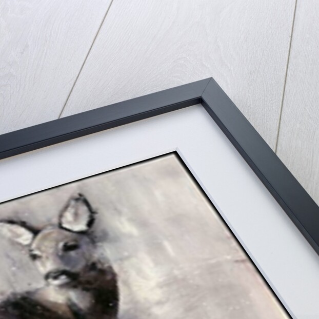 Roe Doe, 2000 by Mark Adlington