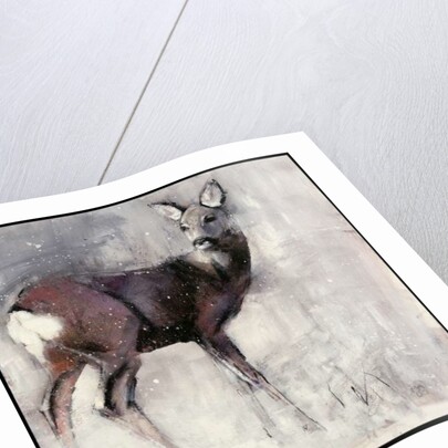 Roe Doe, 2000 by Mark Adlington