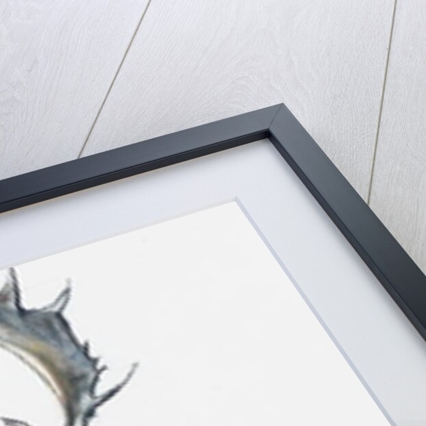 Buck and Bird, 2006 by Mark Adlington