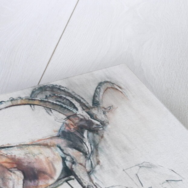 Col di Vermianaz by Mark Adlington