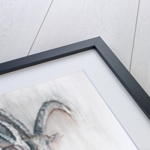 Col di Vermianaz by Mark Adlington