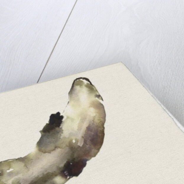 Swimming Above by Mark Adlington