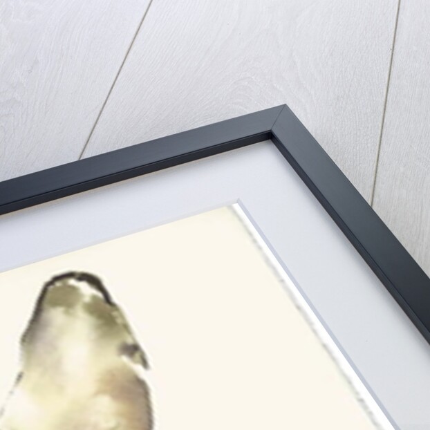 Swimming Above by Mark Adlington